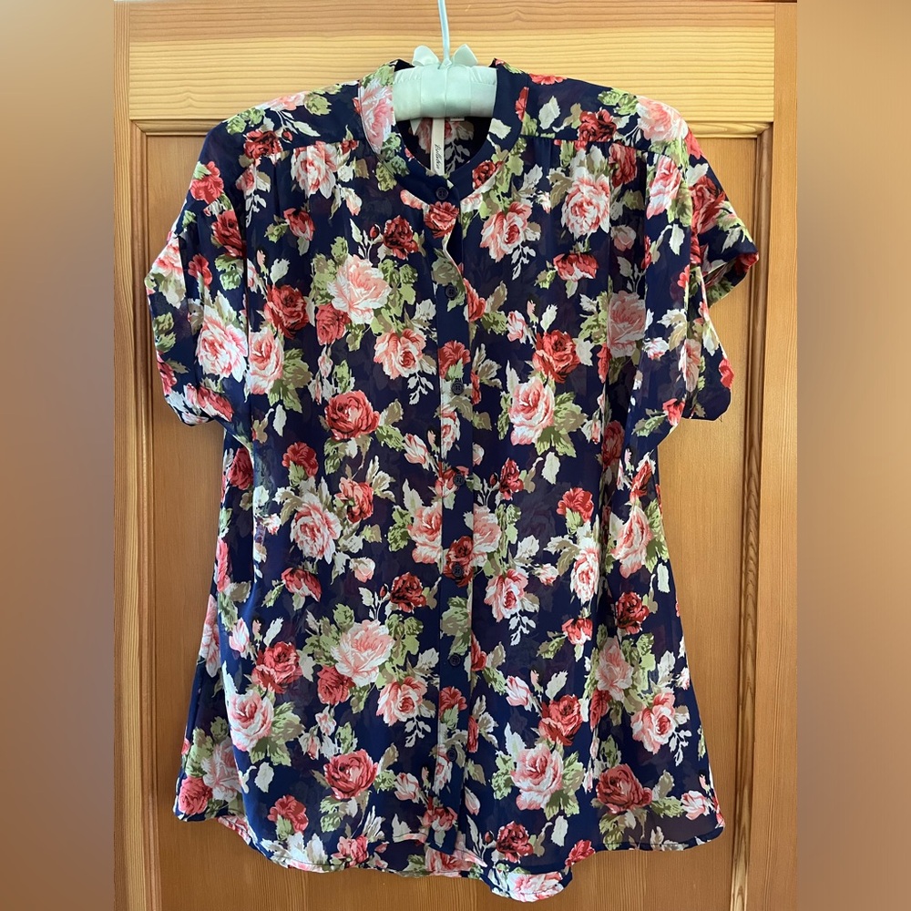 Bellatrix Sheer Blue Floral Blouse